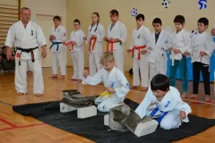 karate_pokaz-szk-3-4032