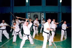 weryfikacja_stopni_Mistrzowskich_w_Rosji047
