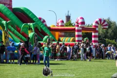 IMG_0082-Kopiowanie