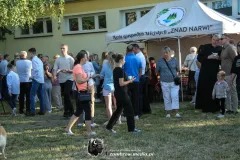 IMG_1291-Kopiowanie