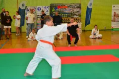 zaw-karate-Ciechanowiec-cz-1-321-Kopiowanie