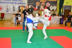 zaw-karate-Ciechanowiec-cz-1-485-Kopiowanie