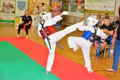 zaw-karate-Ciechanowiec-cz-1-633-Kopiowanie