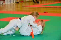 zaw-karate-Ciechanowiec-cz-1-73-Kopiowanie