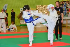 zaw-karate-Ciechanowiec-cz-1-767-Kopiowanie
