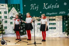 Koncert96001