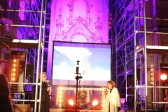 koncert  w wykonaniu Haliny Frąckowiak