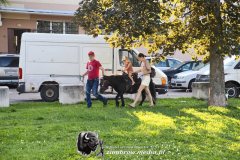 1_IMG_6807-Kopiowanie