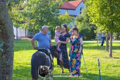 IMG_6812-Kopiowanie