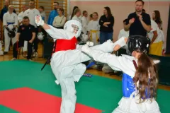 mistrz-karate-Szumowo-cz-1-262-Copy-Kopiowanie