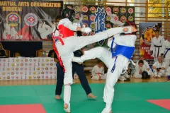 mistrz-karate-Szumowo-cz-1-288-Copy-Kopiowanie
