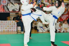 mistrz-karate-Szumowo-cz-1-342-Copy-Kopiowanie