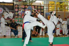 mistrz-karate-Szumowo-cz-1-361-Copy-Kopiowanie