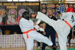 mistrz-karate-Szumowo-cz-1-371-Copy-Kopiowanie