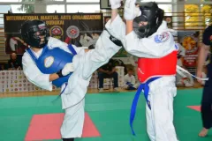 mistrz-karate-Szumowo-cz-1-383-Copy-Kopiowanie