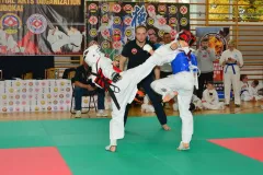 mistrz-karate-Szumowo-cz-1-433-Copy-Kopiowanie