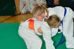 mistrz-karate-Szumowo-cz-1-47-Kopiowanie