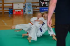 mistrz-karate-Szumowo-cz-1-48-Kopiowanie