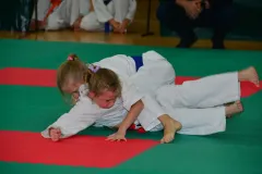 mistrz-karate-Szumowo-cz-1-50-Copy-Kopiowanie