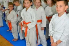 mistrz-karate-Szumowo-cz-1-545-Copy-Kopiowanie
