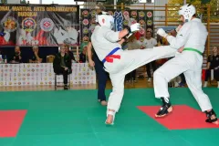 mistrz-karate-Szumowo-cz-1-957-Copy-Kopiowanie