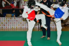 mistrz-karate-Szumowo-cz-2-45-Copy-Kopiowanie