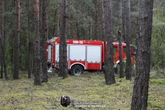 IMG_3217-Kopiowanie