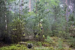 IMG_3244-Kopiowanie