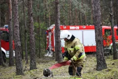 IMG_3267-Kopiowanie