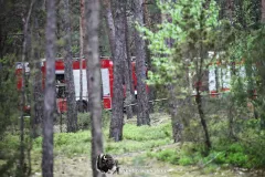 IMG_3283-Kopiowanie