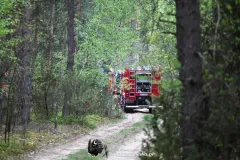 IMG_3284-Kopiowanie