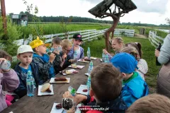 IMG_3956-Kopiowanie