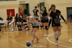 IMG_9093-Kopiowanie
