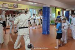 30-l-w-dojo-1-Kopiowanie