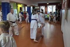 30-l-w-dojo-2-Kopiowanie