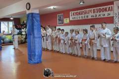 30-l-w-dojo-3-Kopiowanie