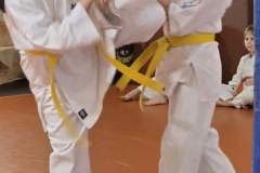 30-l-w-dojo-4-Kopiowanie