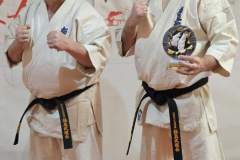 30-l-w-dojo-8-Kopiowanie