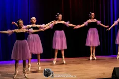 IMG_0050-Kopiowanie