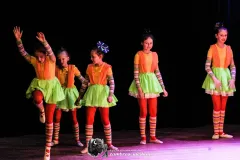 IMG_9981-Kopiowanie
