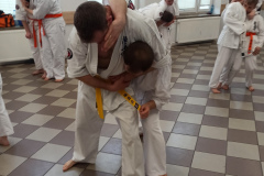 Seminar-1y
