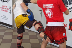 Seminar-2