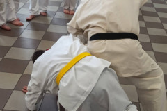 seminar-4
