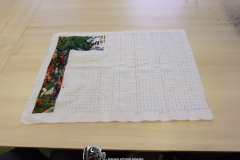 KODAK Digital Still Camera